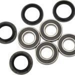 Oil Seals