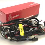 Wiring Harnesses & Terminals