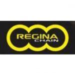 REGINA CHAIN 126SR 428 Half link chain 101 Links