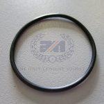 99.0522 O RING (622/101)(03.3281)(99.0502)