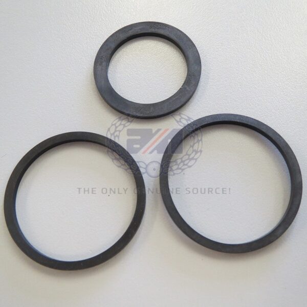 06.4243 CALIPER SEAL KIT