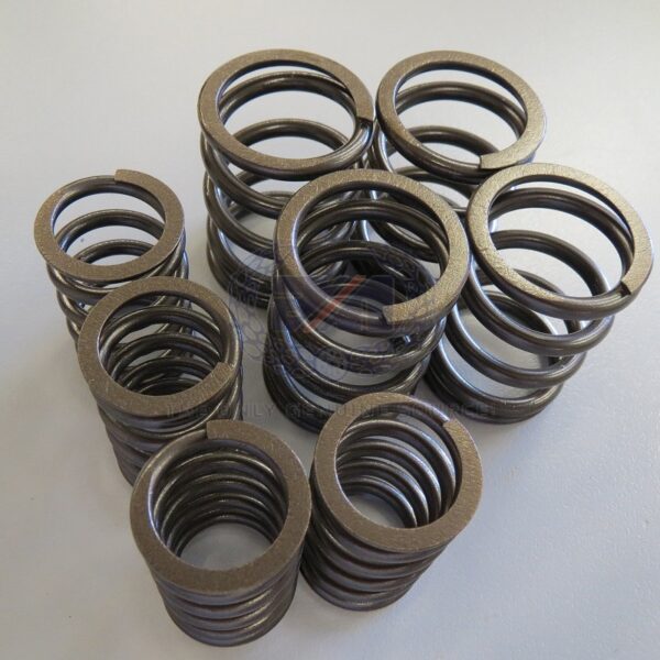 06.7070 VALVE SPRING SET